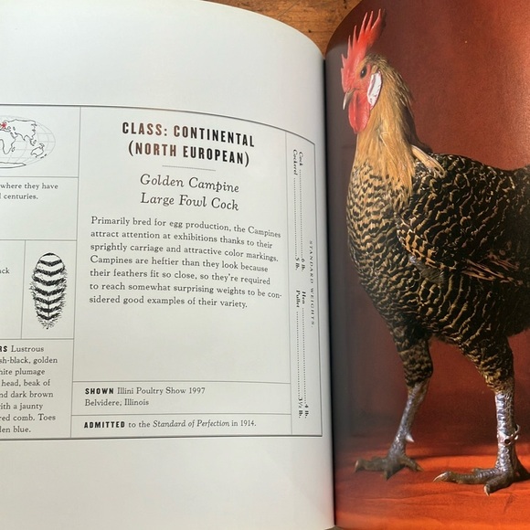 The Fairest Fowl: Portraits of Championship Chickens Book by Tamara Staples - Picture 15 of 16